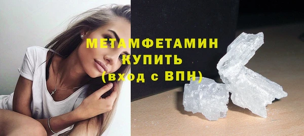 прущие грибы Няндома
