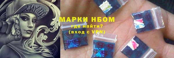 прущие грибы Няндома