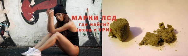 прущие грибы Няндома