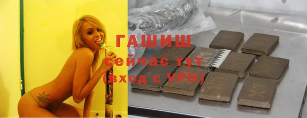 прущие грибы Няндома