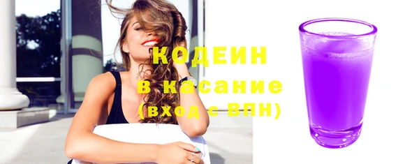 прущие грибы Няндома