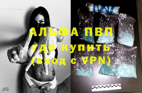 прущие грибы Няндома