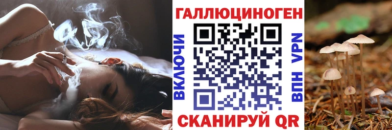 как найти закладки  Задонск  Галлюциногенные грибы MAGIC MUSHROOMS 